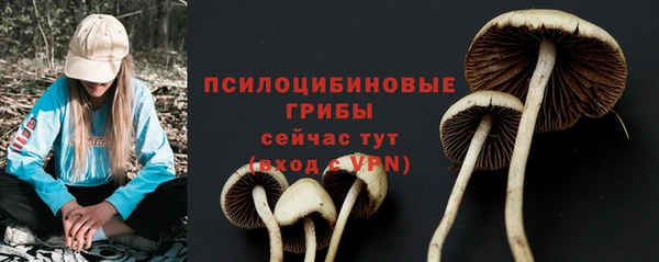 ГАЛЛЮЦИНОГЕННЫЕ ГРИБЫ Алексеевка