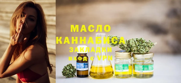 СК Алексин