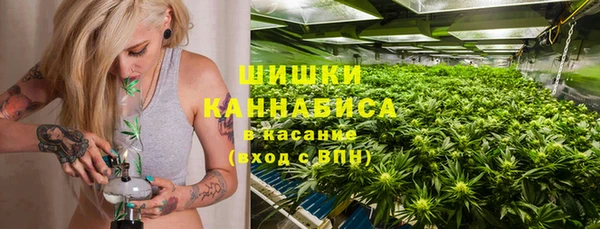 ГАЛЛЮЦИНОГЕННЫЕ ГРИБЫ Алексеевка