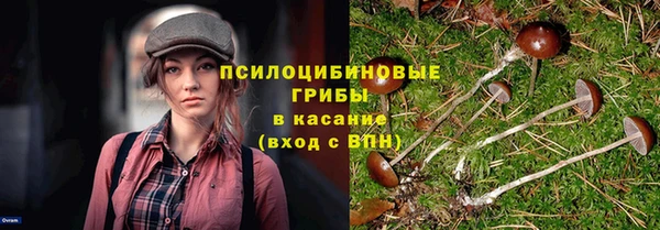 мяу мяу мука Алзамай