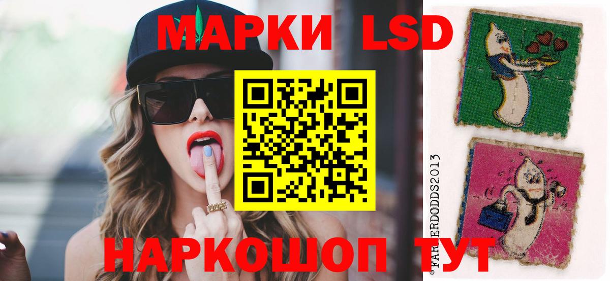 Новокубанск  Лсд 25 экстази кислота  Вход с VPN  ЛСД экстази кислота 