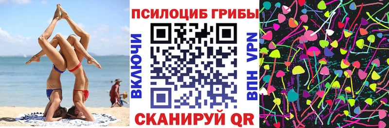 даркнет телеграм  Новокубанск  Псилоцибиновые грибы ЛСД  закладки 