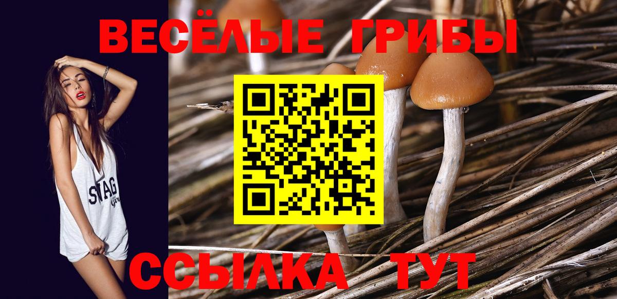 Галлюциногенные грибы Magic Shrooms Новокубанск
