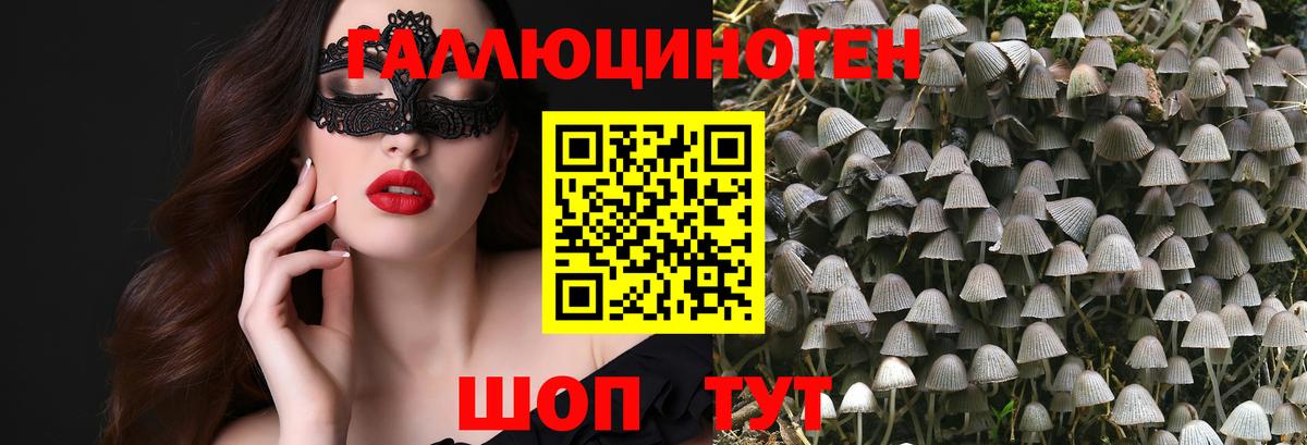 Новокубанск  Галлюциногенные грибы Psilocybine cubensis  Галлюциногенные грибы ЛСД  Вход с VPN 